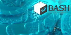 Captura de pantalla de una terminal de Bash en Linux ejecutando comandos básicos